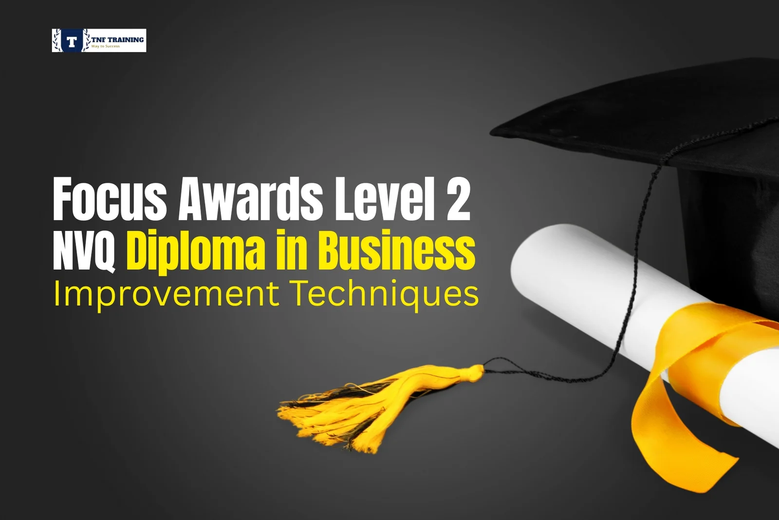 Level 2 NVQ Diploma in Business Improvement Techniques